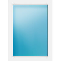 Festelement 74x106 cm