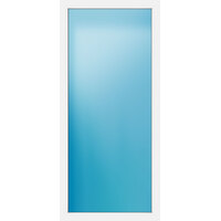 Festelement 100x220 cm