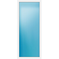 Festelement 100x240 cm
