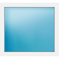 Festelement 103.1x100 cm