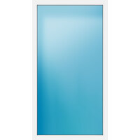Festelement 120.9x232.6 cm